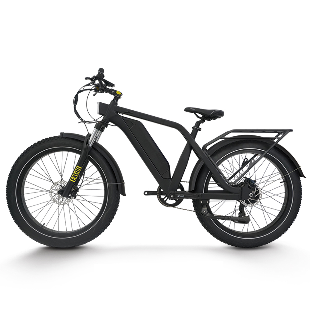 *voor elektrische fietsen voor - 48V 1500W Rear Hub Motor With Battery recensie en prijs